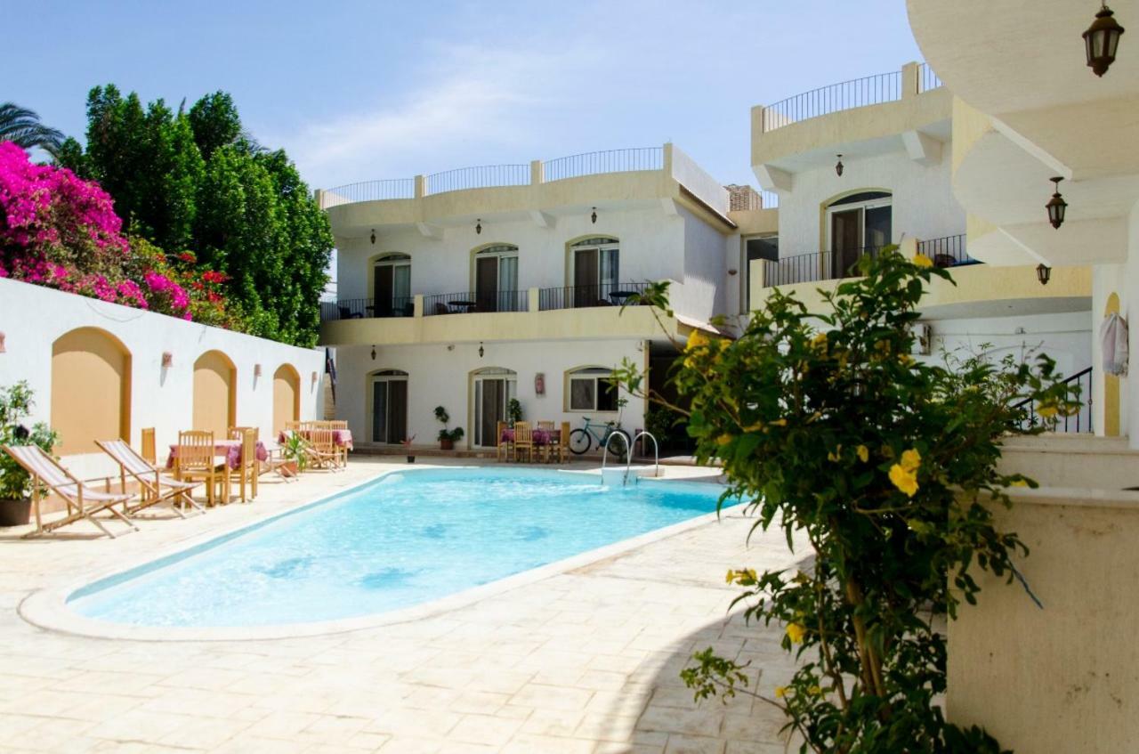 New Yalla Hotel Dahab Exterior photo